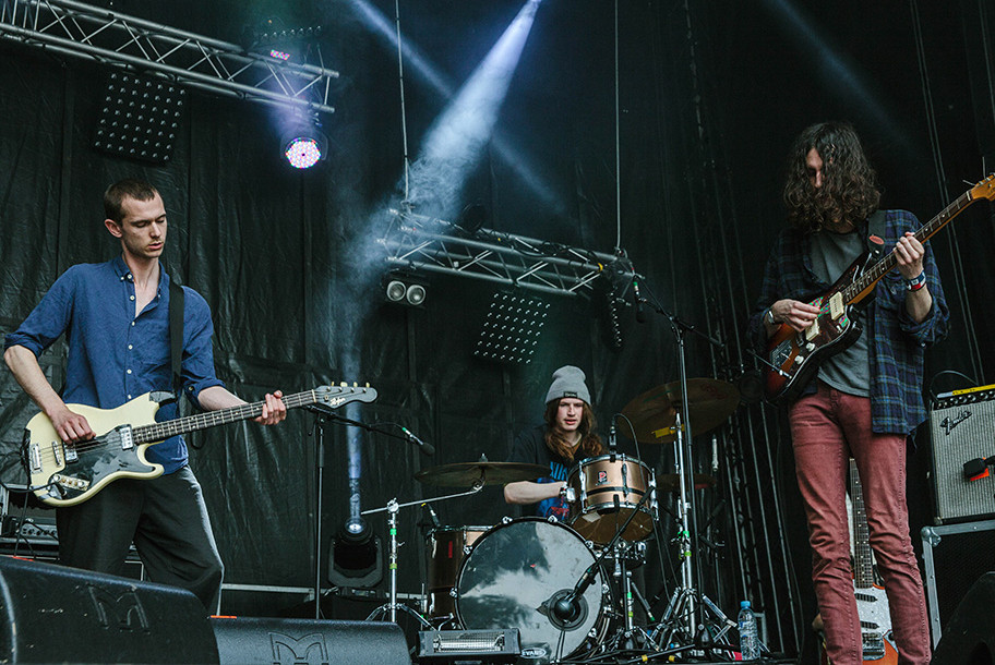 the wombats